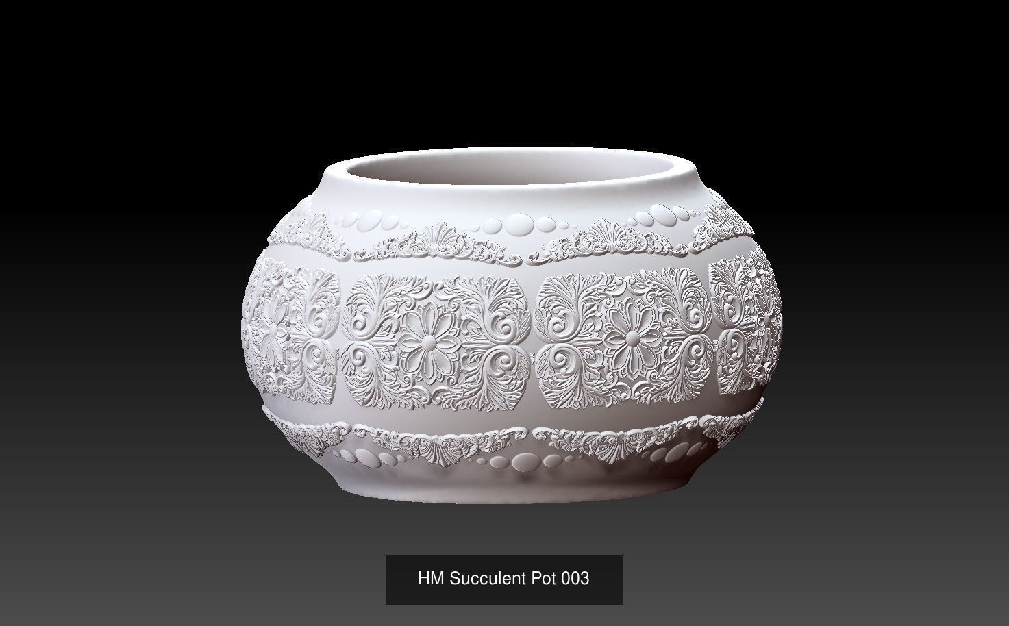 HM Succulent Flower Pot Three Models together Promotional price 3D Model Collection_2