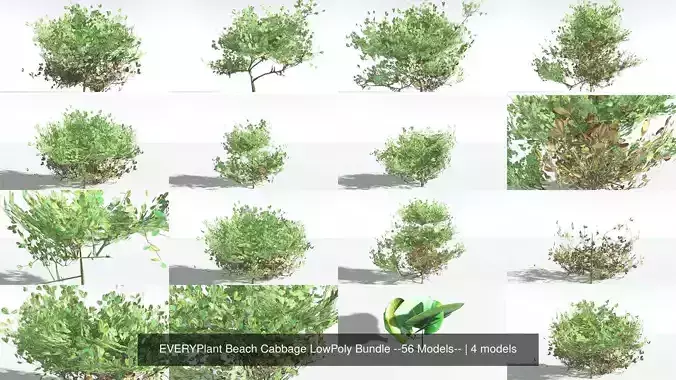 EVERYPlant Beach Cabbage LowPoly Bundle --56 Models-- 3D Model Collection
