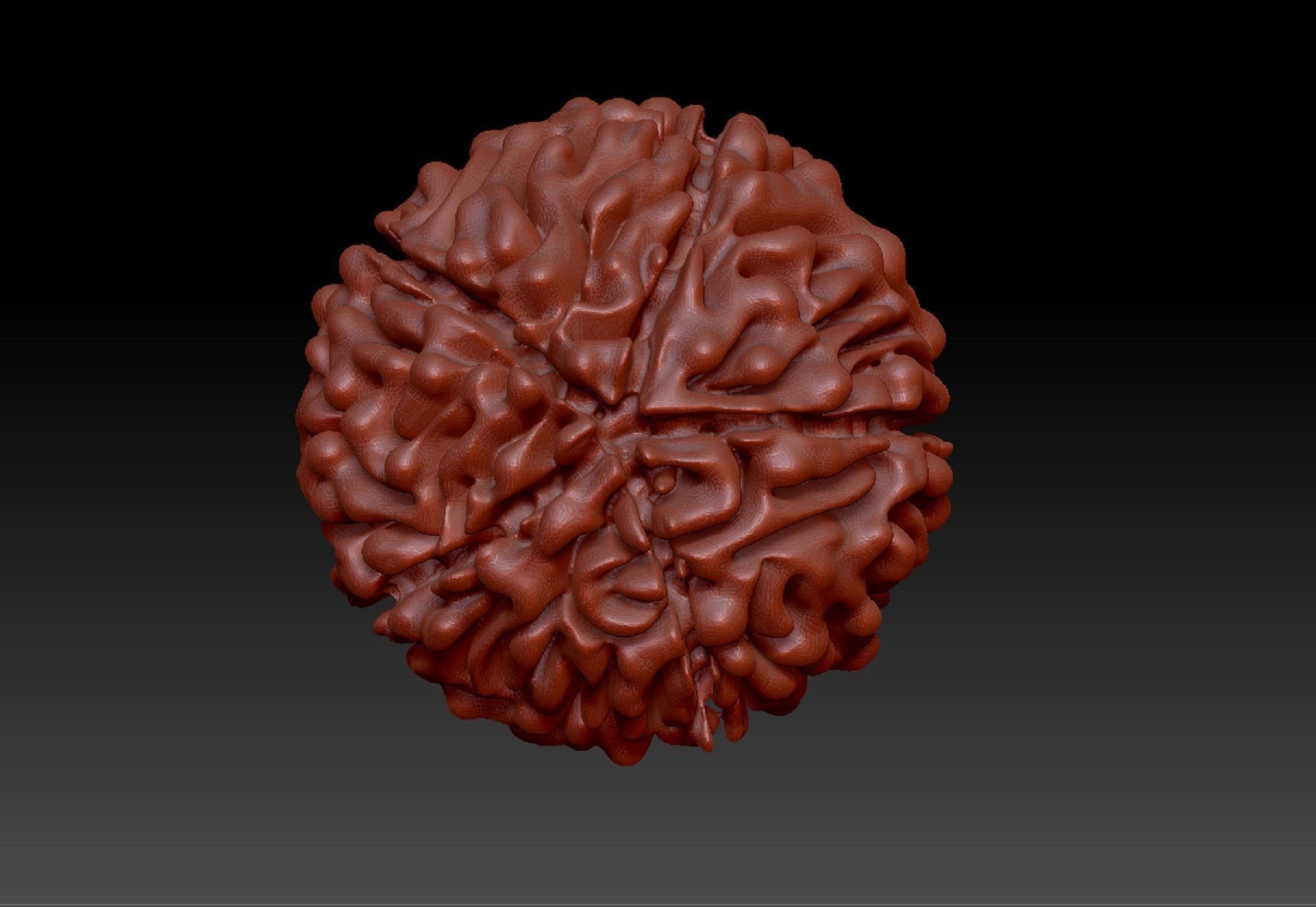 Rudraksh 3d model pendent 3D print model_1