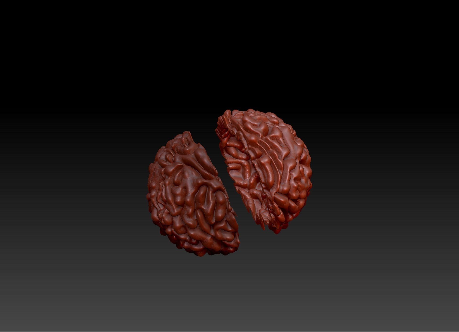 Rudraksh 3d model pendent 3D print model_8