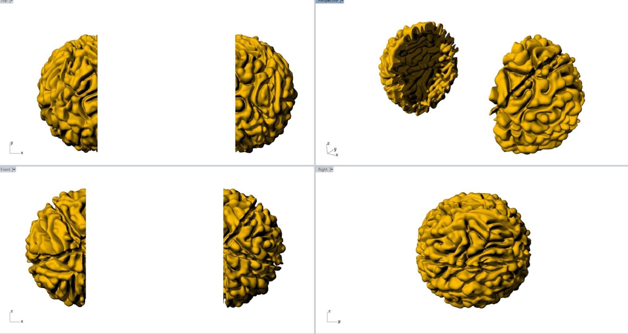 Rudraksh 3d model pendent 3D print model_4