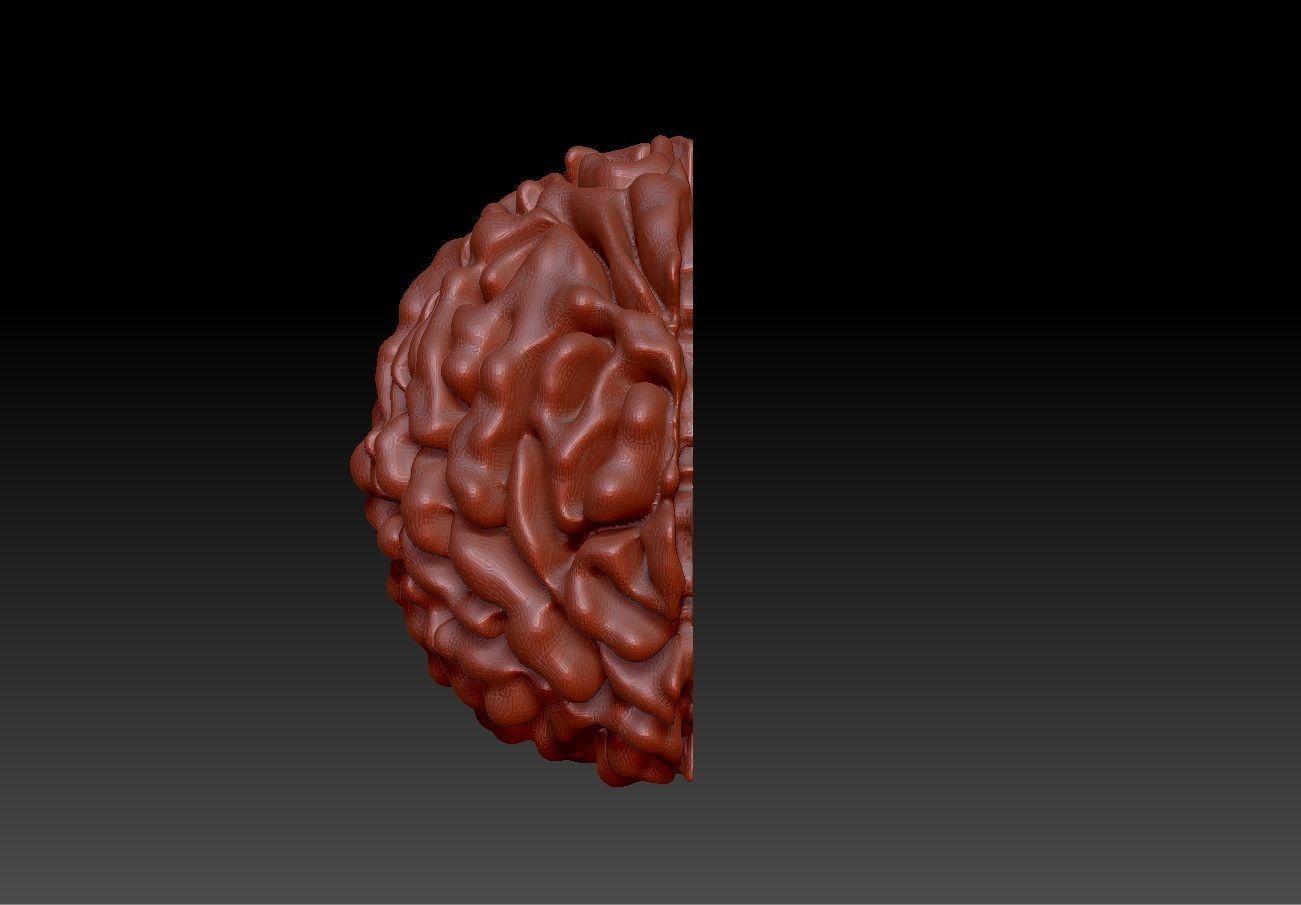 Rudraksh 3d model pendent 3D print model_6