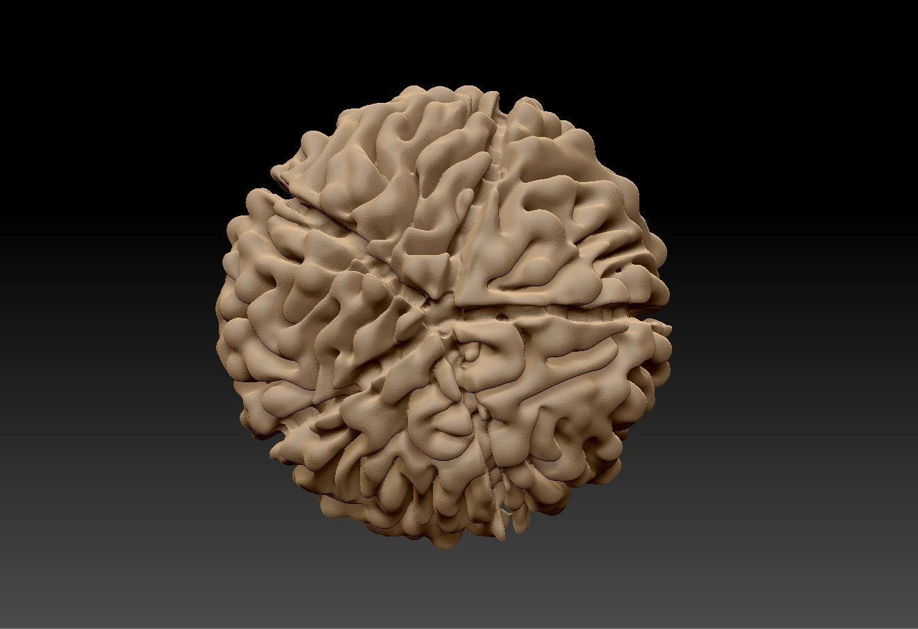 Rudraksh 3d model pendent 3D print model_2