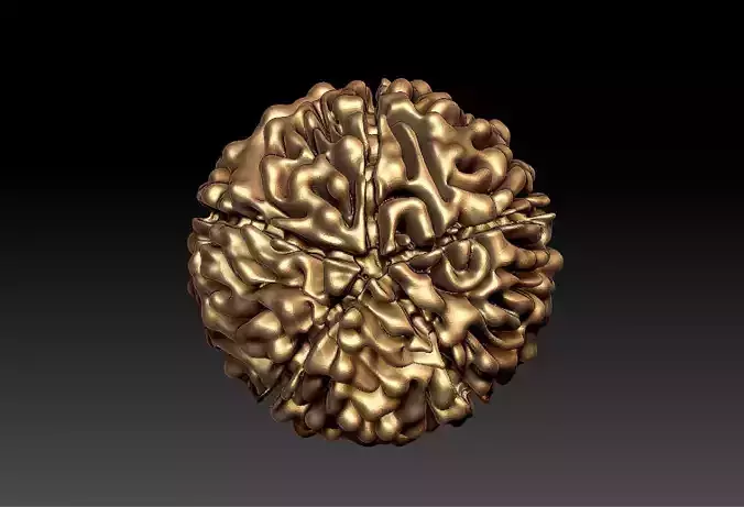 Rudraksh 3d model pendent
