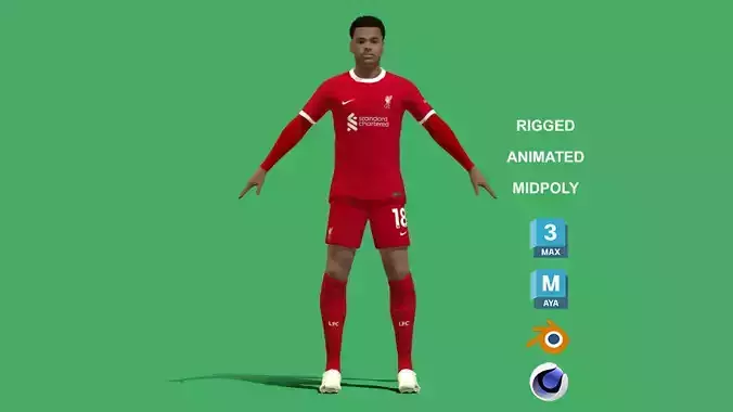 3D Rigged Cody Gakpo Liverpool 2024 3D model