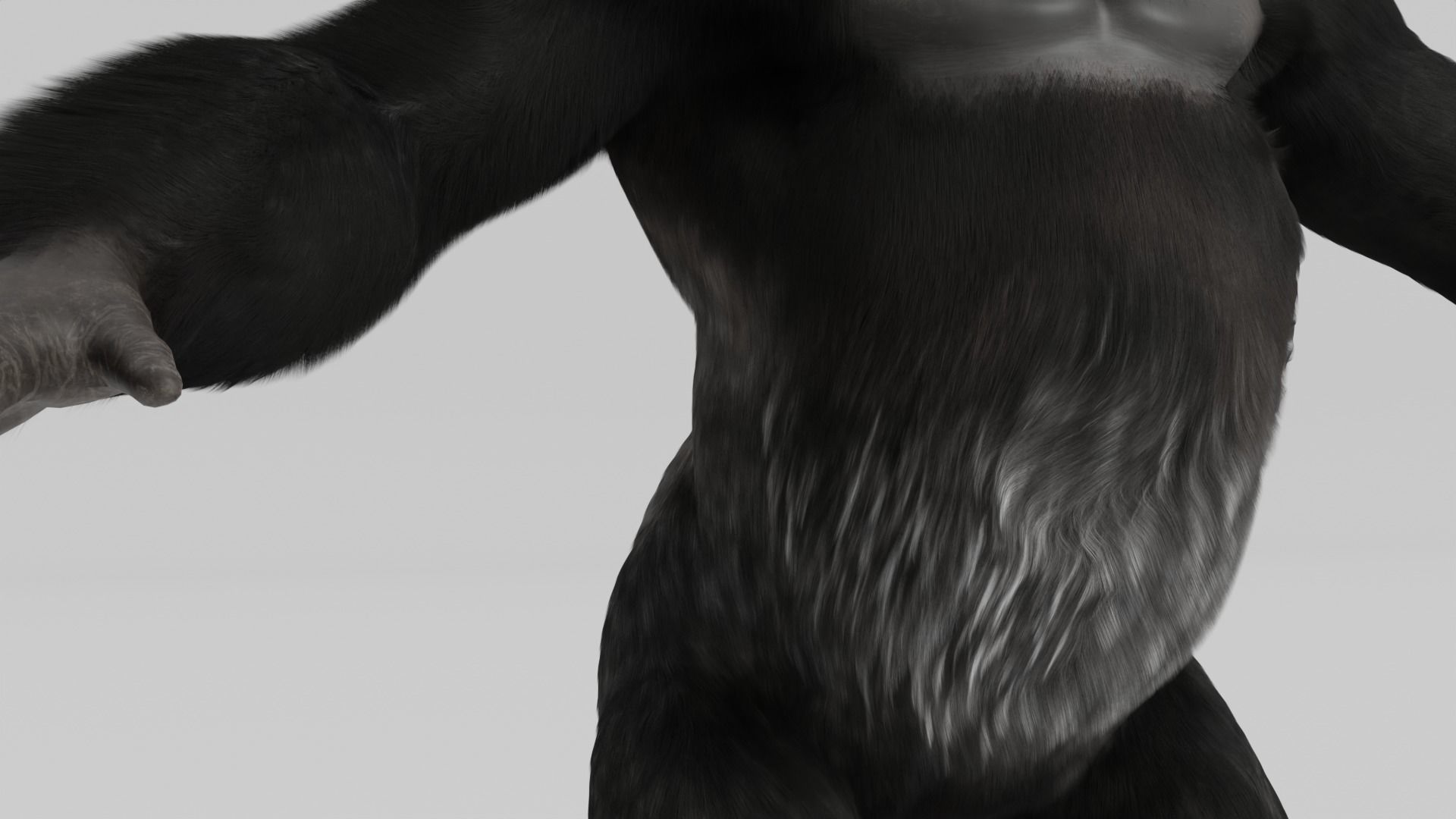 Mountain Gorilla  realistic 3d model 3D model_1