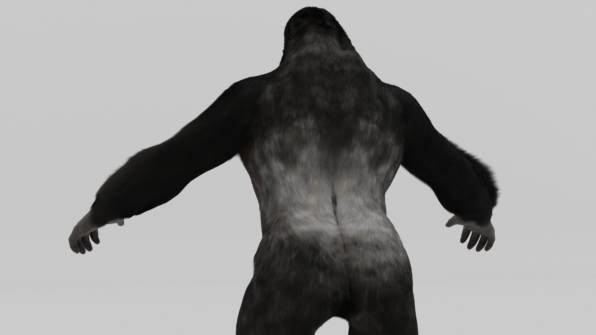 Mountain Gorilla  realistic 3d model 3D model_2
