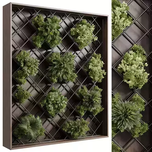 plants set partition in wooden frame - Vertical graden