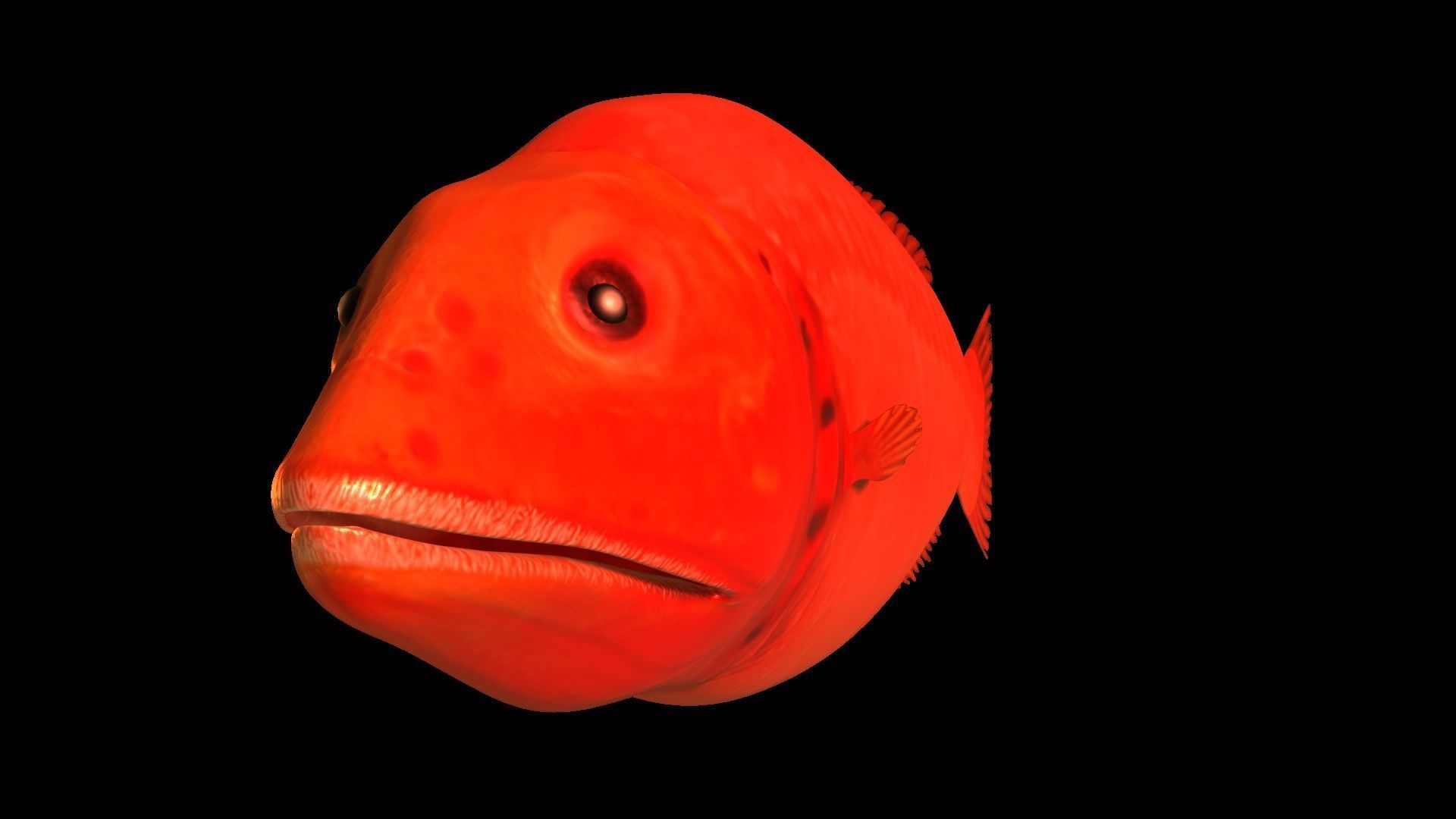 Flabbywhale fish Low-poly 3D model_3