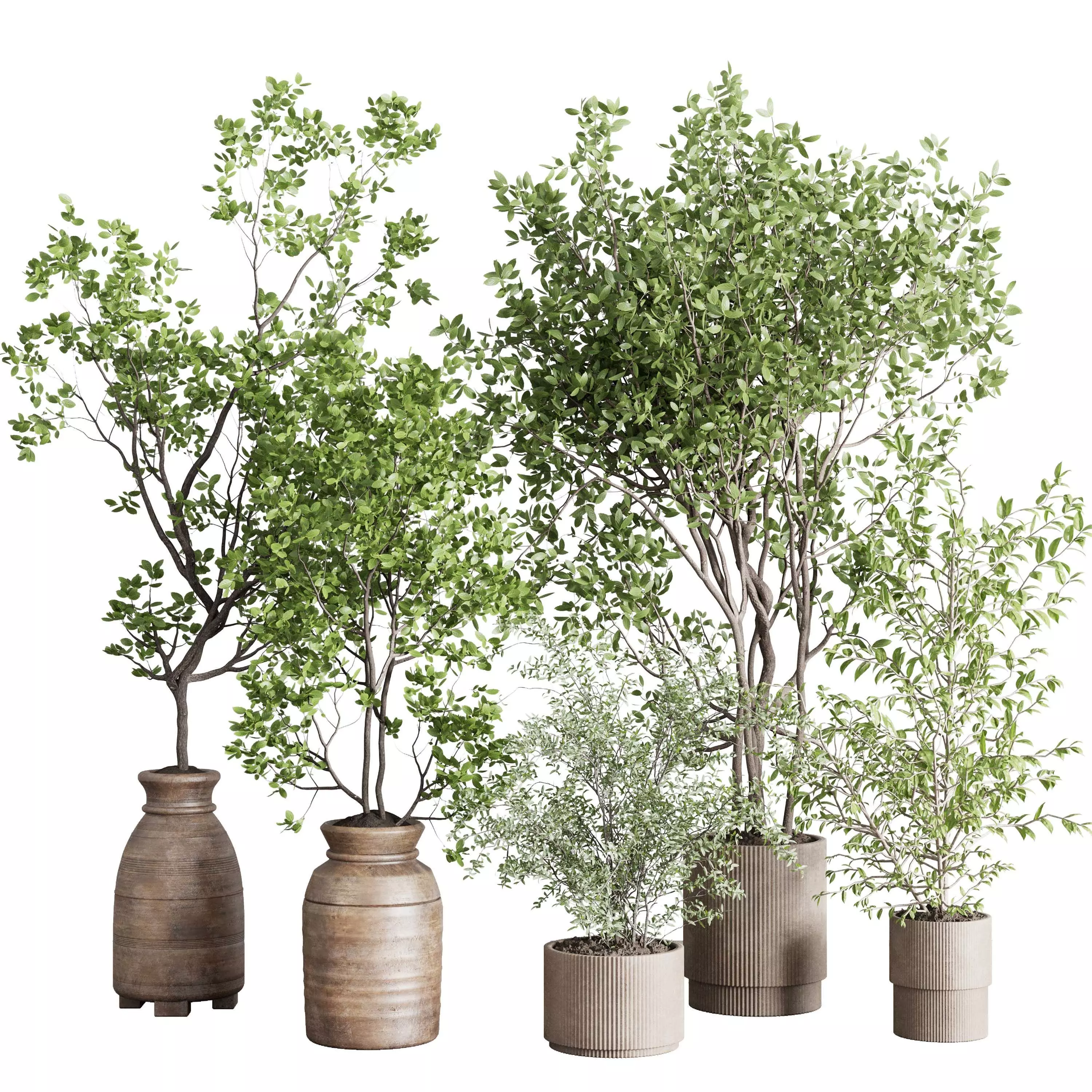 indoor plant set 413 pot tree in a wooden old vase Low-poly 3D model