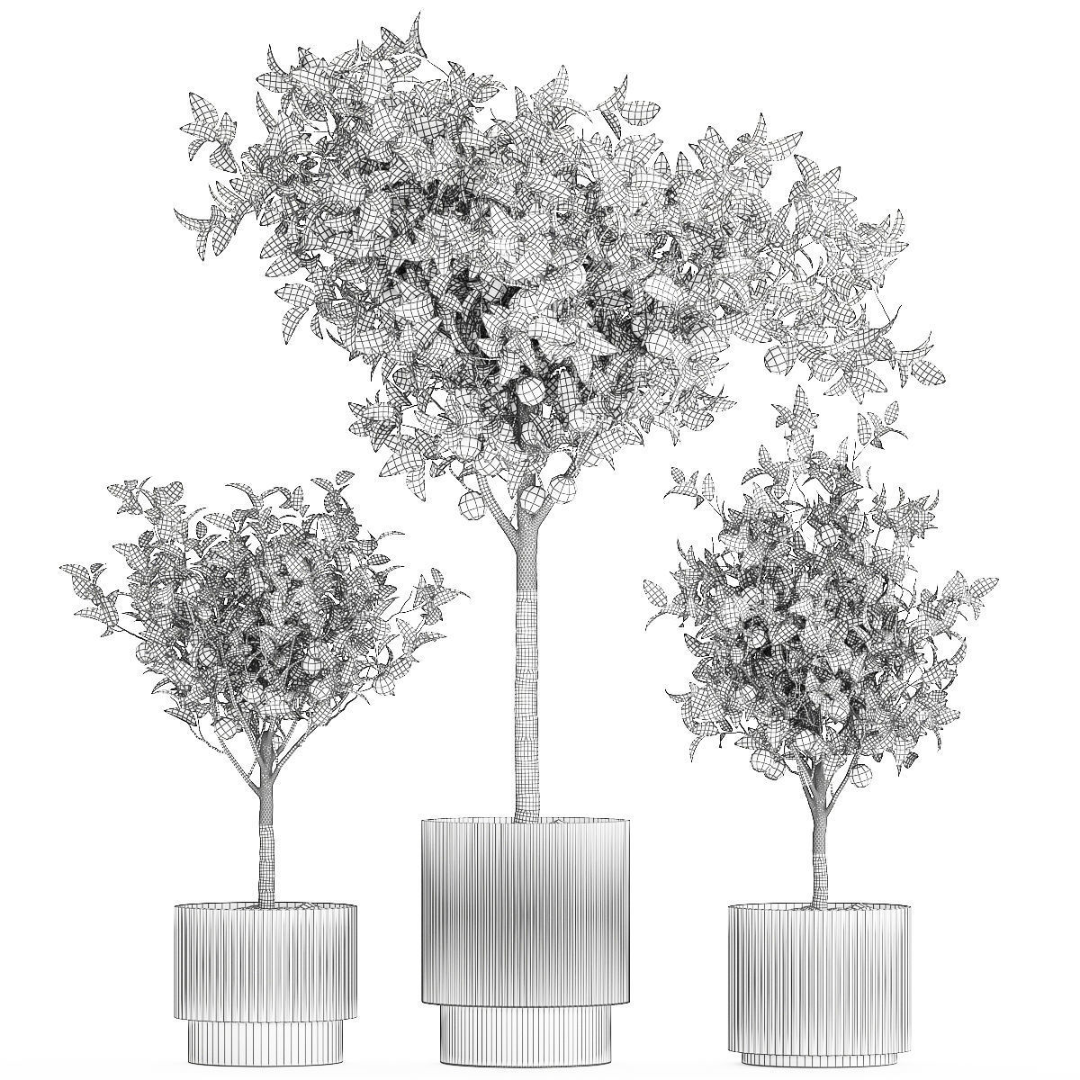 Set of small beautiful orange trees in white pots 1406 3D model_11