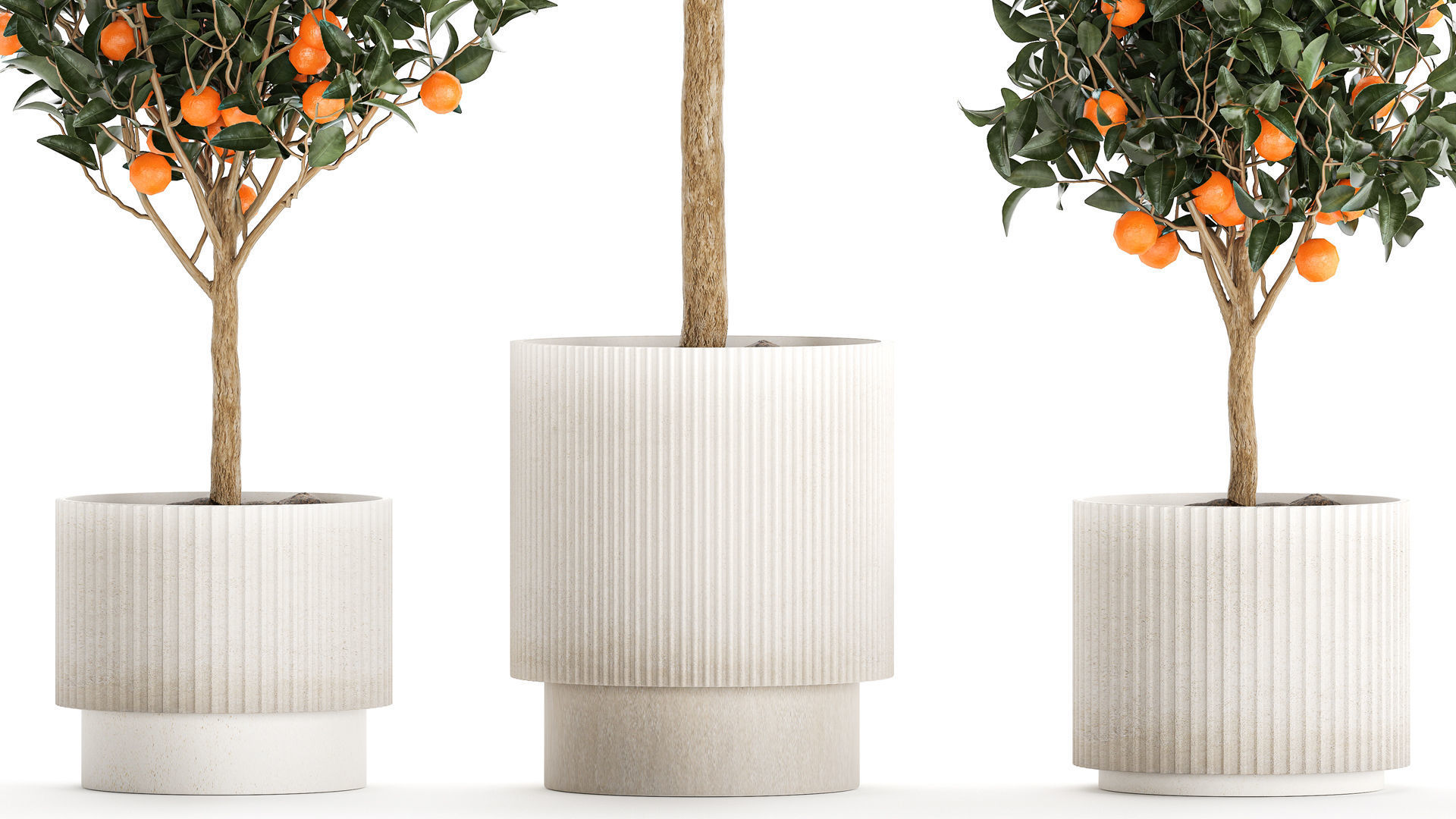 Set of small beautiful orange trees in white pots 1406 3D model_2