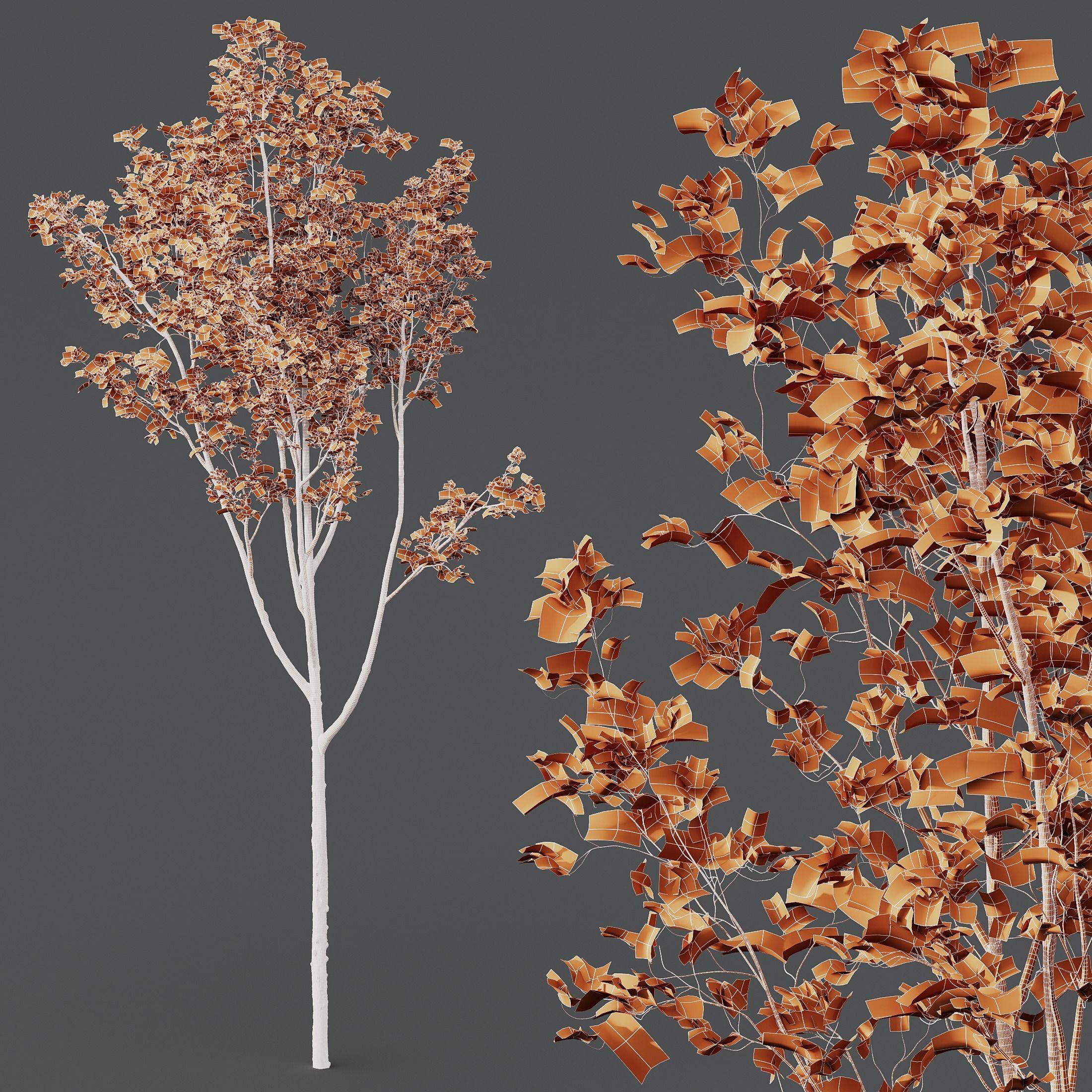 Acer Pseudoplatanus and Saccharinum Spring 3D model_4
