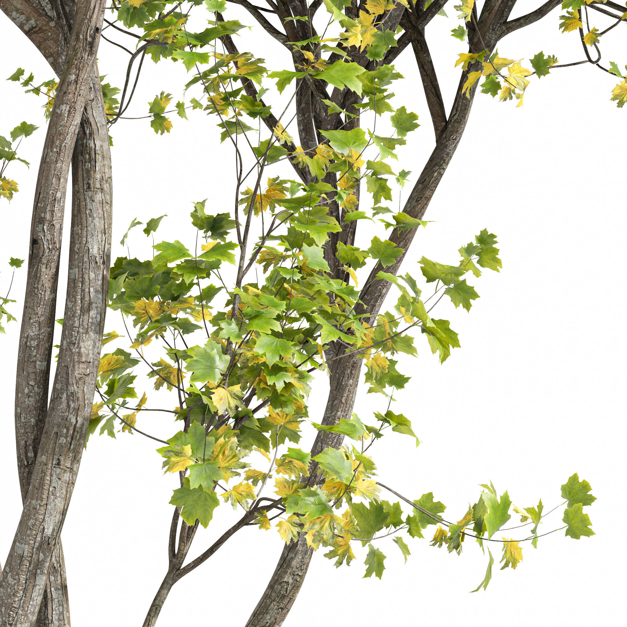 Bush Leaf 4 trees 3D model_2