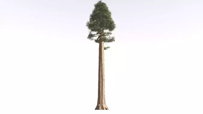 EVERYPlant Giant Redwood 2 --16 Models-- 3D model