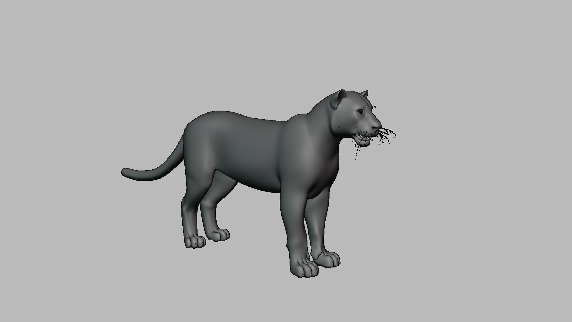Leopard with Fur rigged  3D model_5