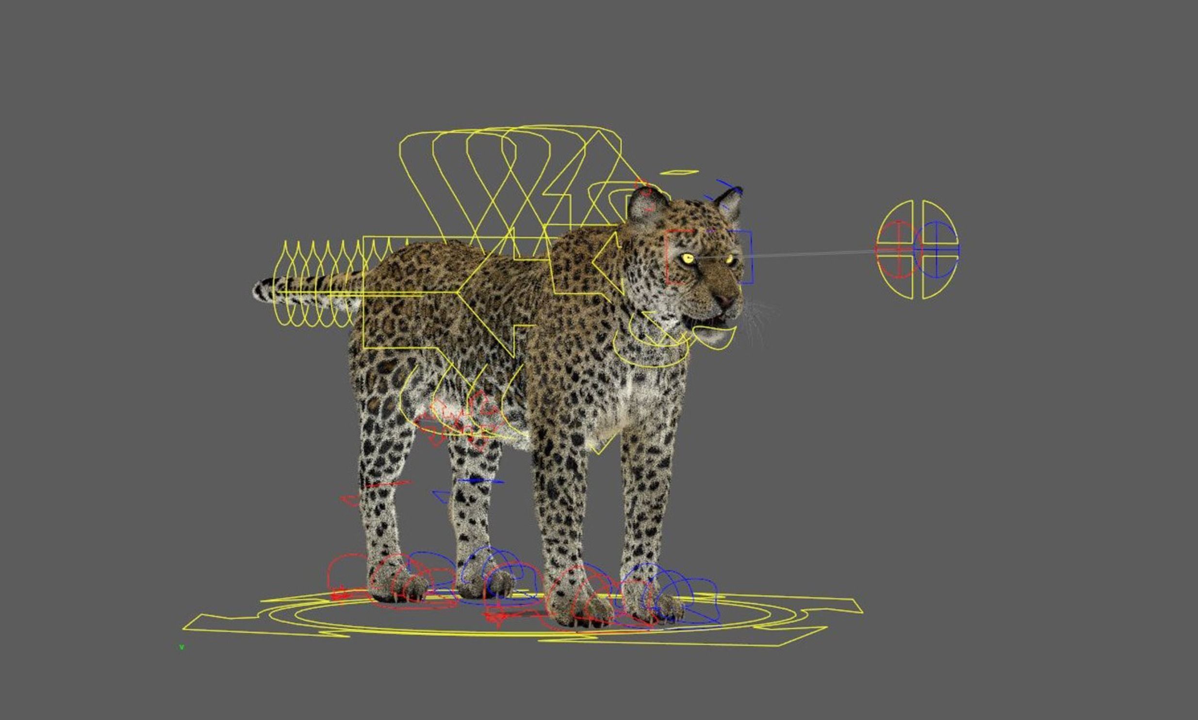 Leopard with Fur rigged  3D model_9