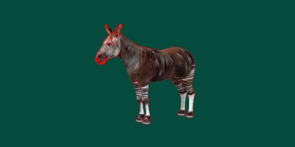 Okapi Forest Giraffe Animals Low-poly 3D model_7