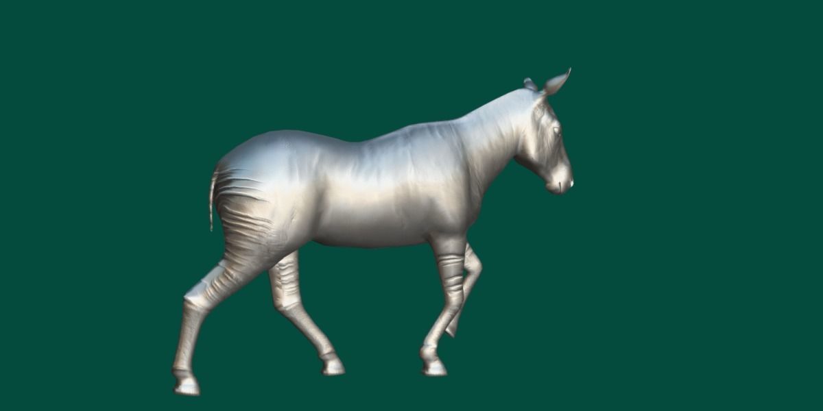 Okapi Forest Giraffe Animals Low-poly 3D model_17