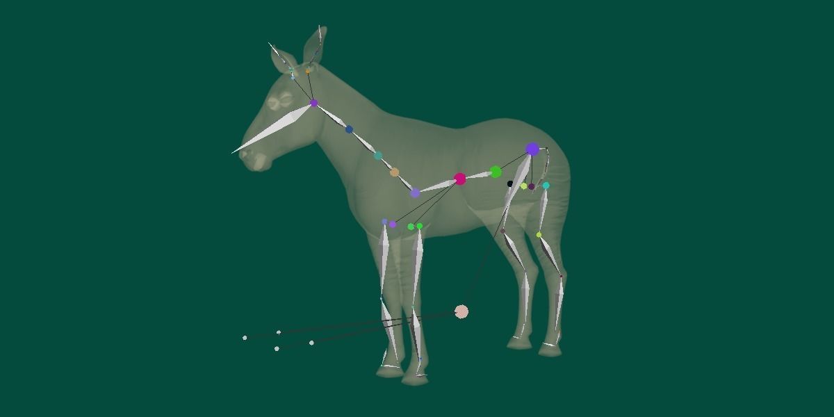 Okapi Forest Giraffe Animals Low-poly 3D model_10