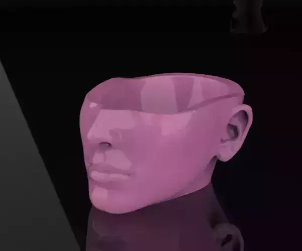 Half Head Planter pot 3D print model 3D print model