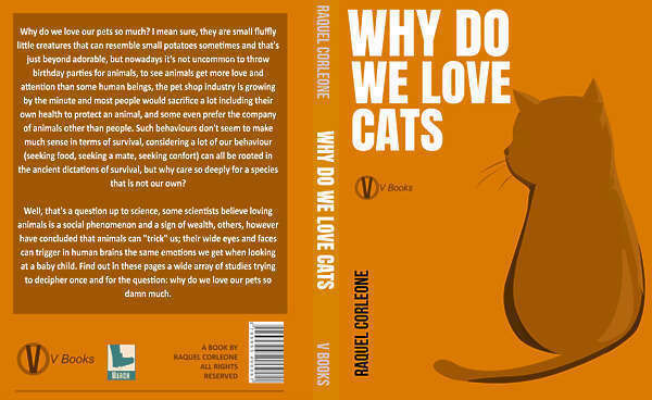 Decorative set - Living room - Set de decoracion 3D model_7