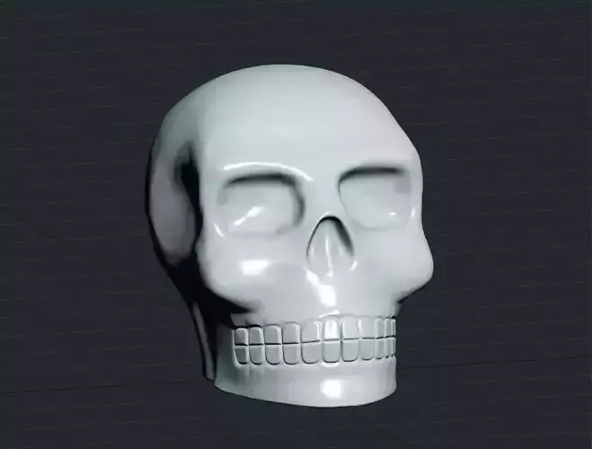 Skull 3D modle