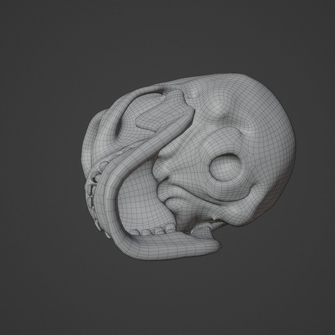 Human Skull Low-poly 3D model_8