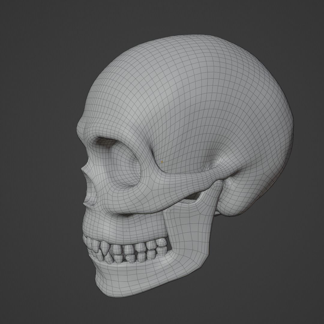 Human Skull Low-poly 3D model_7