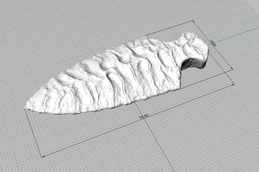 Ancient spear 3D print model_8