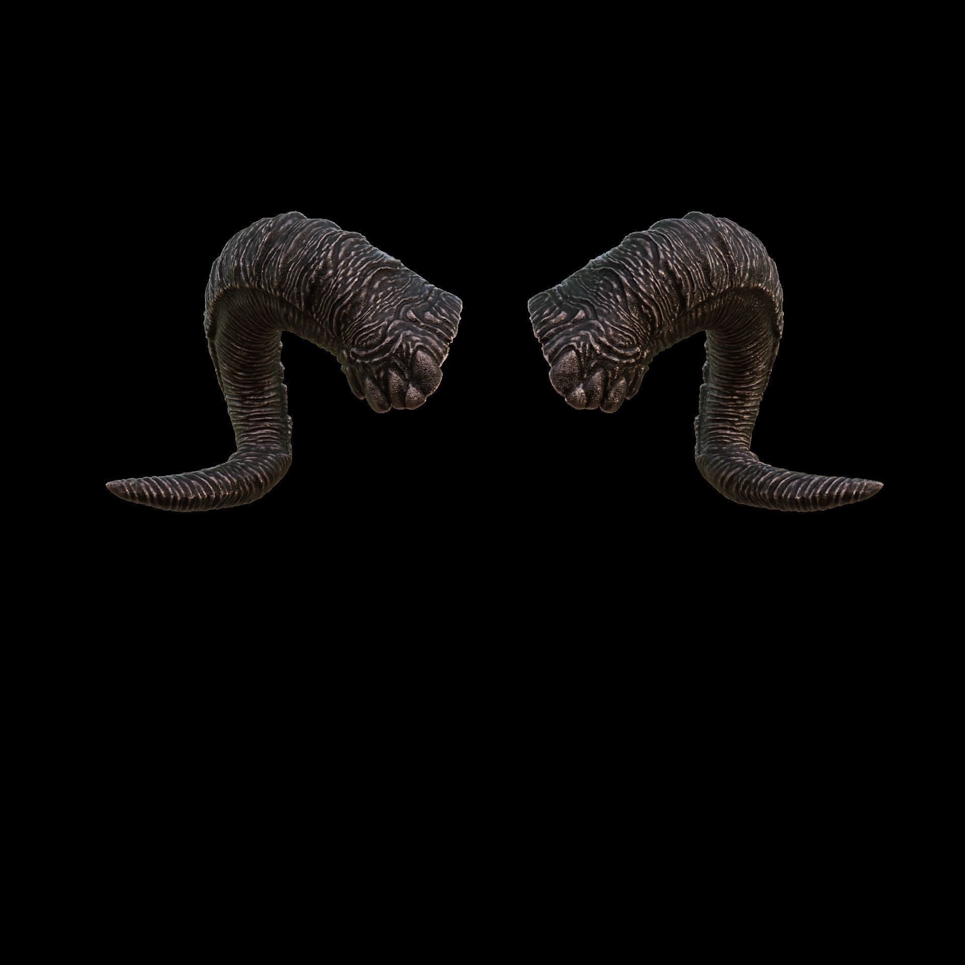 Tiefling Fantasy Dis Coils Horns Baldurs Gate 3 3D print model_3