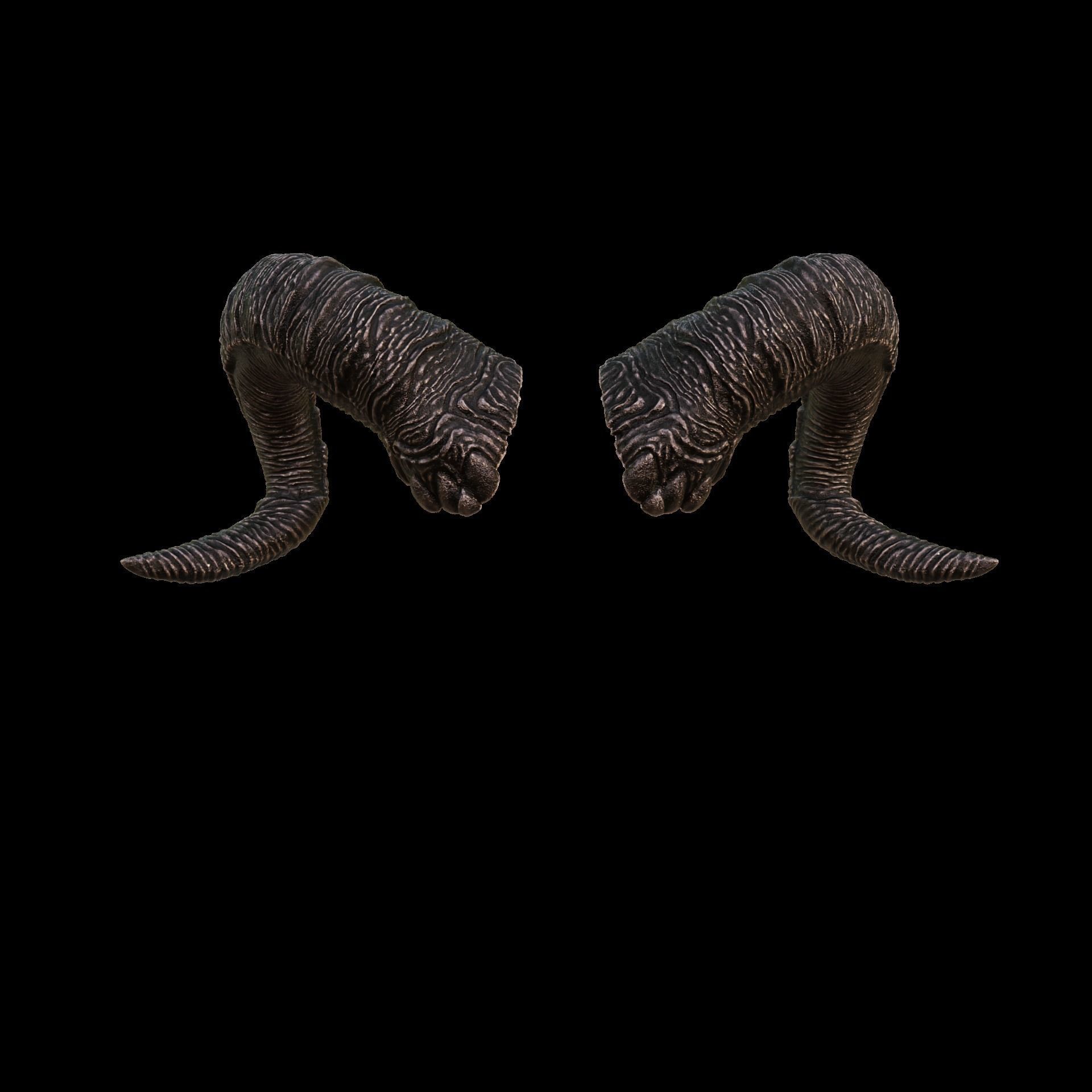 Tiefling Fantasy Dis Coils Horns Baldurs Gate 3 3D print model_2