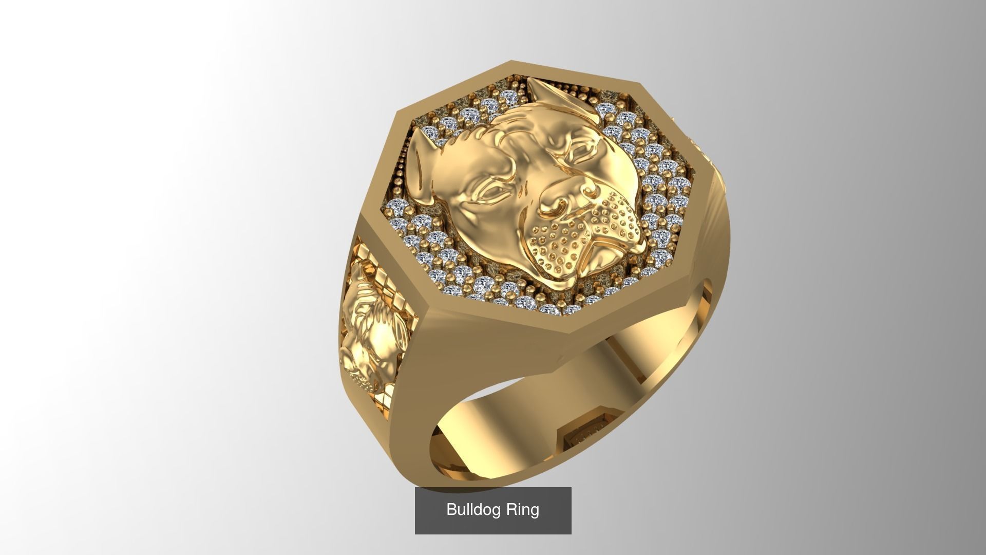 Organic Animal Jewelry Collection-1 _35