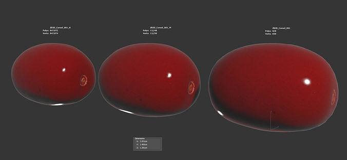 Cornel 3D model 6