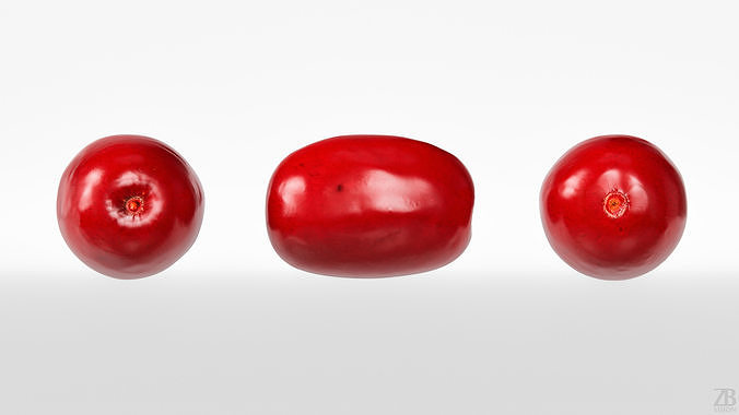 Cornel 3D model 5