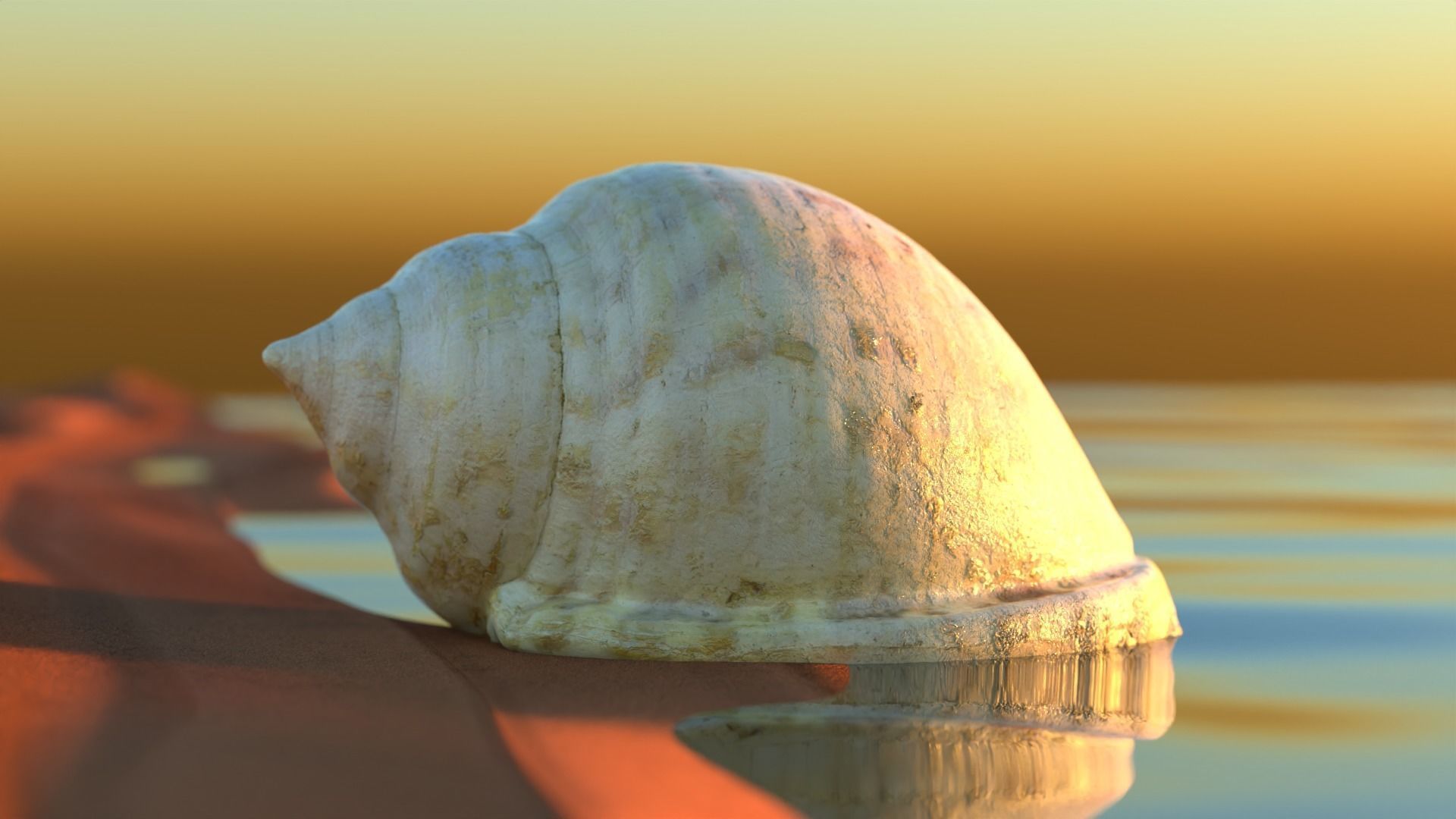 Tan Seashell - Realistic High Quality - 4K PBR Textures Low-poly 3D model_2