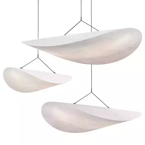 Tense Pendant Lamp D 70 - 90 - 120 cm 3D model
