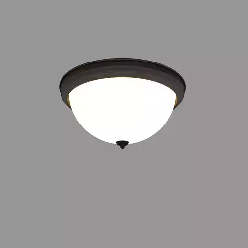 Flush Mount Lighting Fixtures 3D model