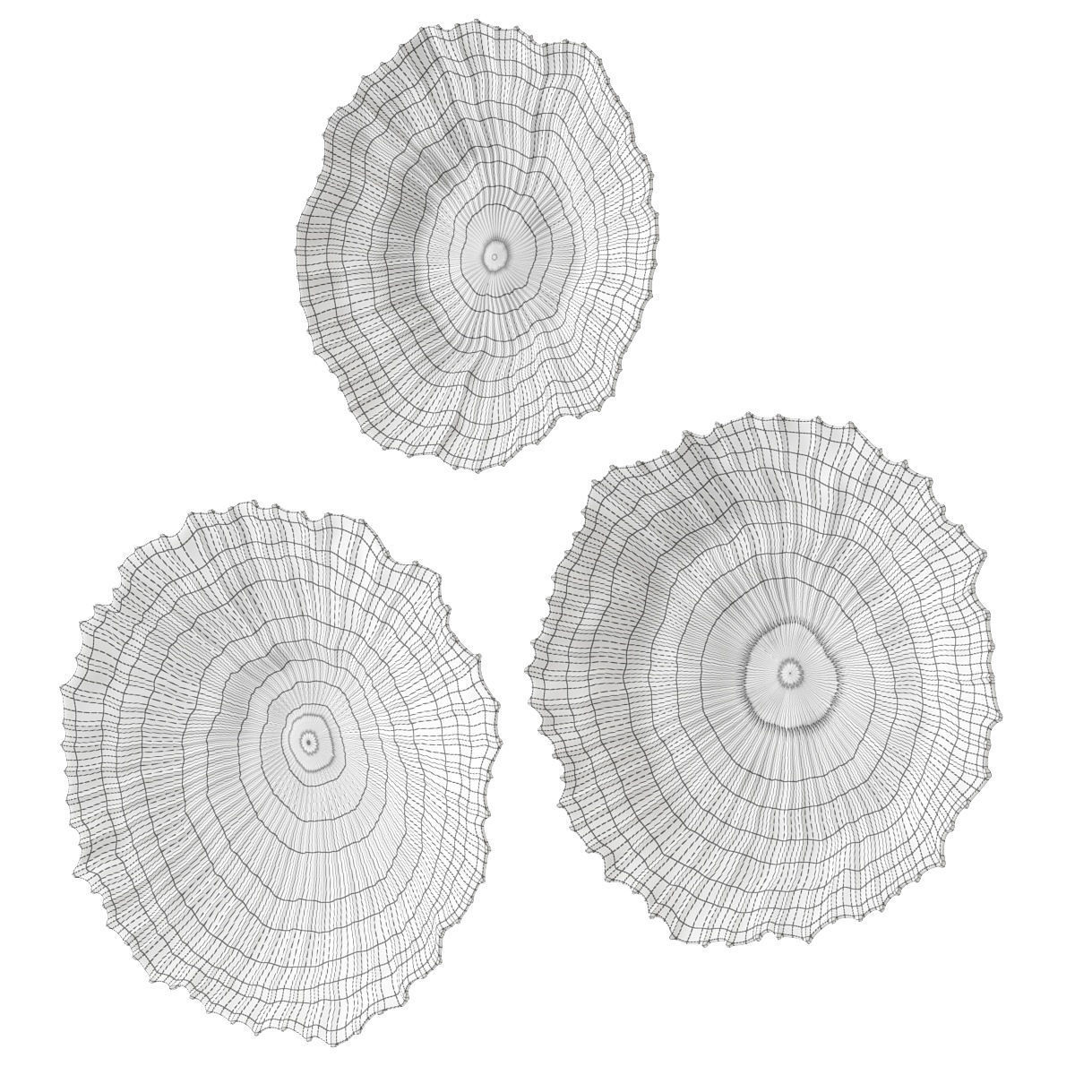 Uttermost Ocean Gems Wall decor 3D model_3