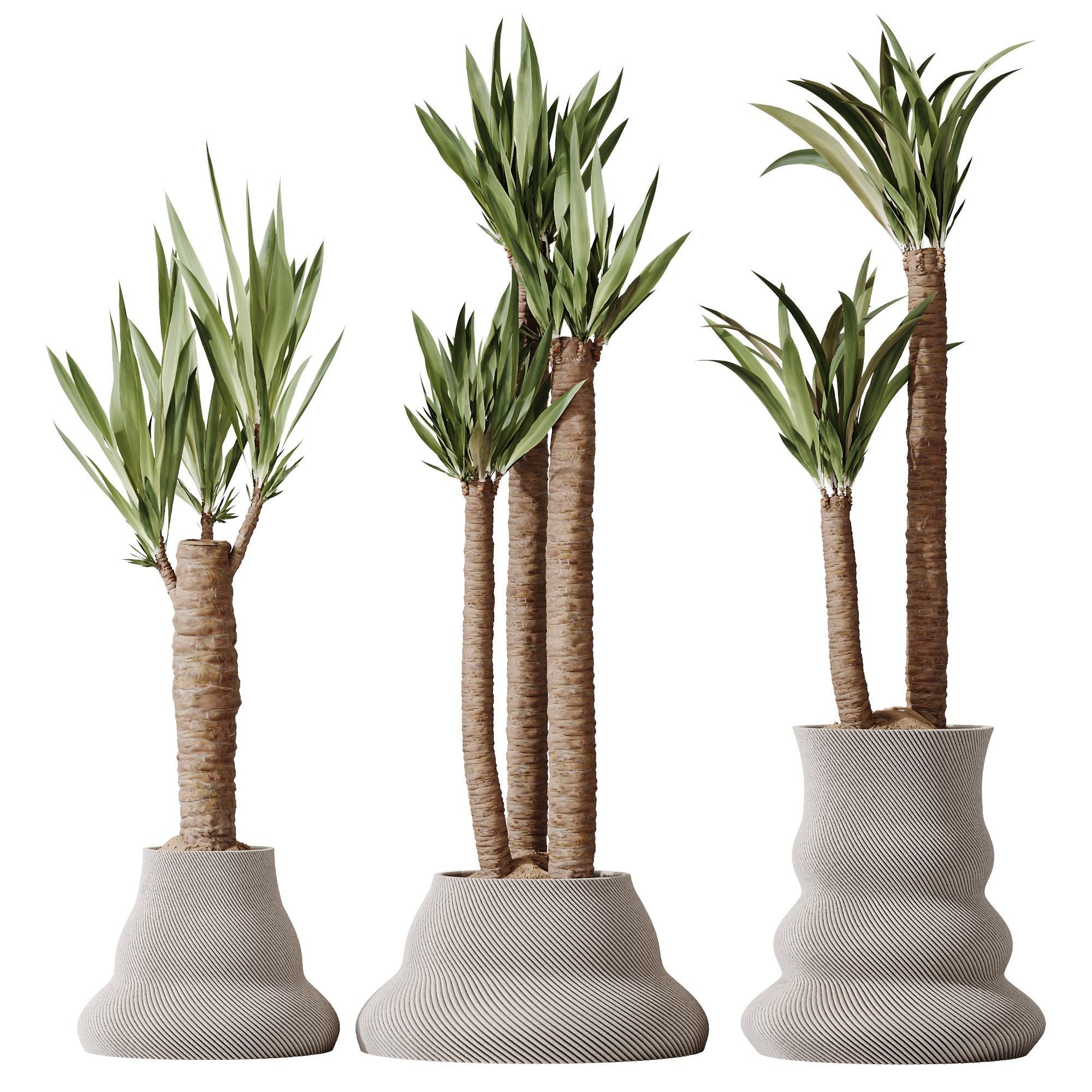 HQ Plants Yucca Elephantipes Gigantea Vase Set02 3D model_3