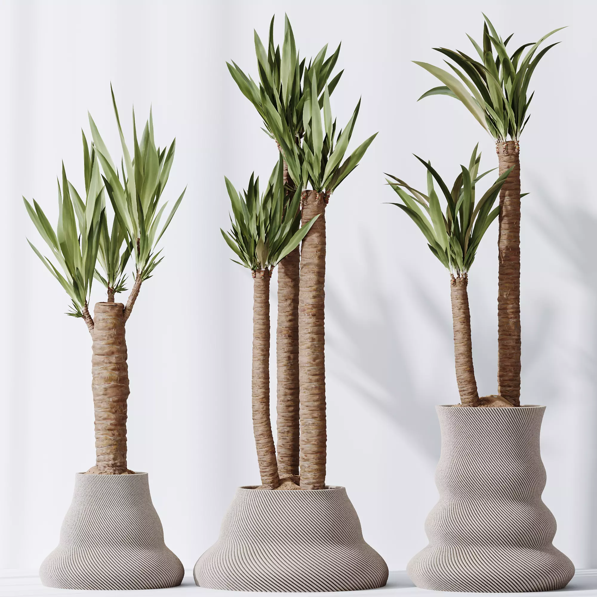 HQ Plants Yucca Elephantipes Gigantea Vase Set02 3D model_0