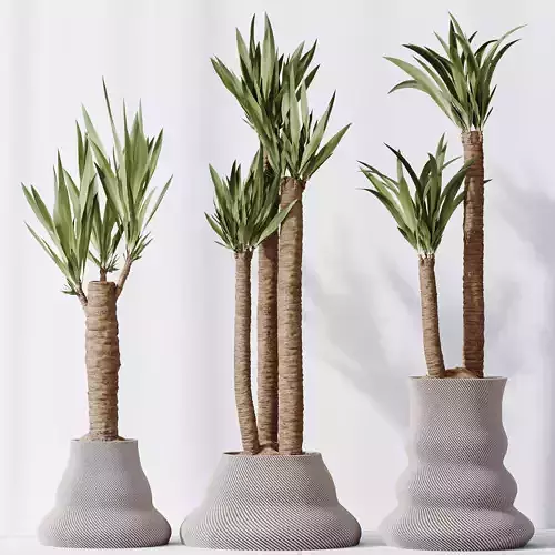 HQ Plants Yucca Elephantipes Gigantea Vase Set02 3D model