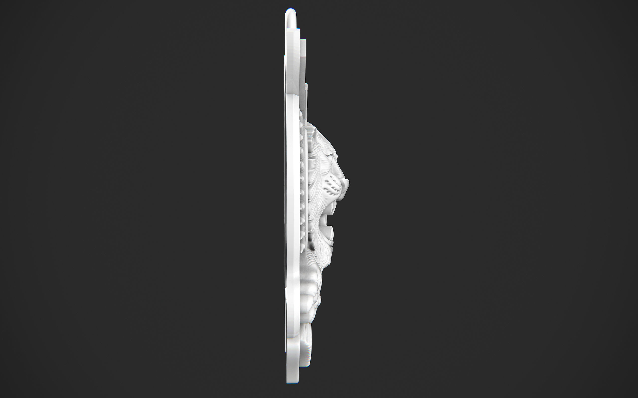 Tiger 3D print model_10