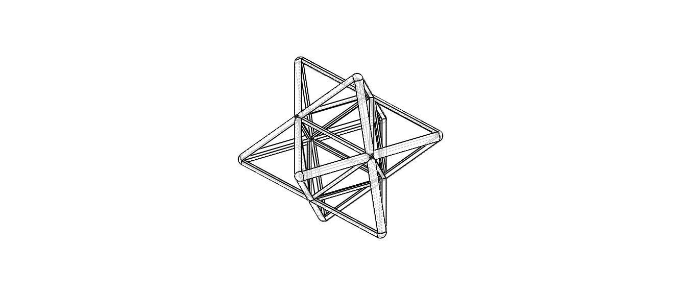 Wireframe Shape Stellated Octahedron 3D print model_19