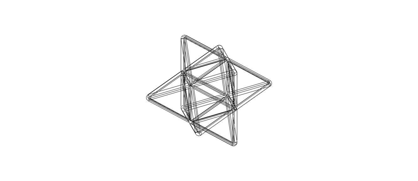 Wireframe Shape Stellated Octahedron 3D print model_20