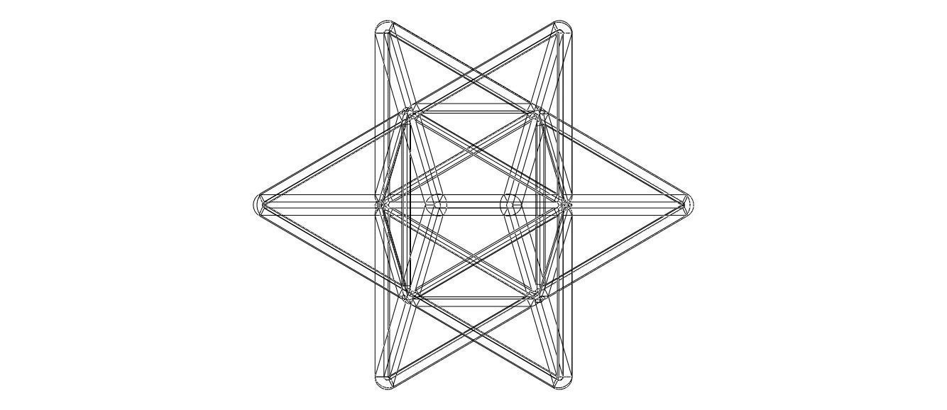 Wireframe Shape Stellated Octahedron 3D print model_32