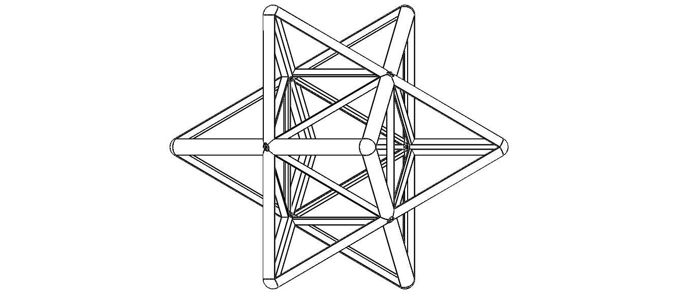 Wireframe Shape Stellated Octahedron 3D print model_14