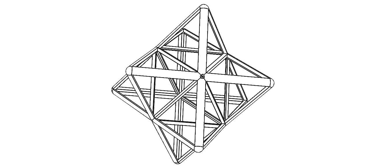 Wireframe Shape Stellated Octahedron 3D print model_2