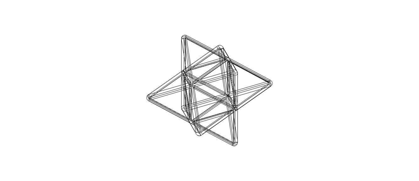 Wireframe Shape Stellated Octahedron 3D print model_28