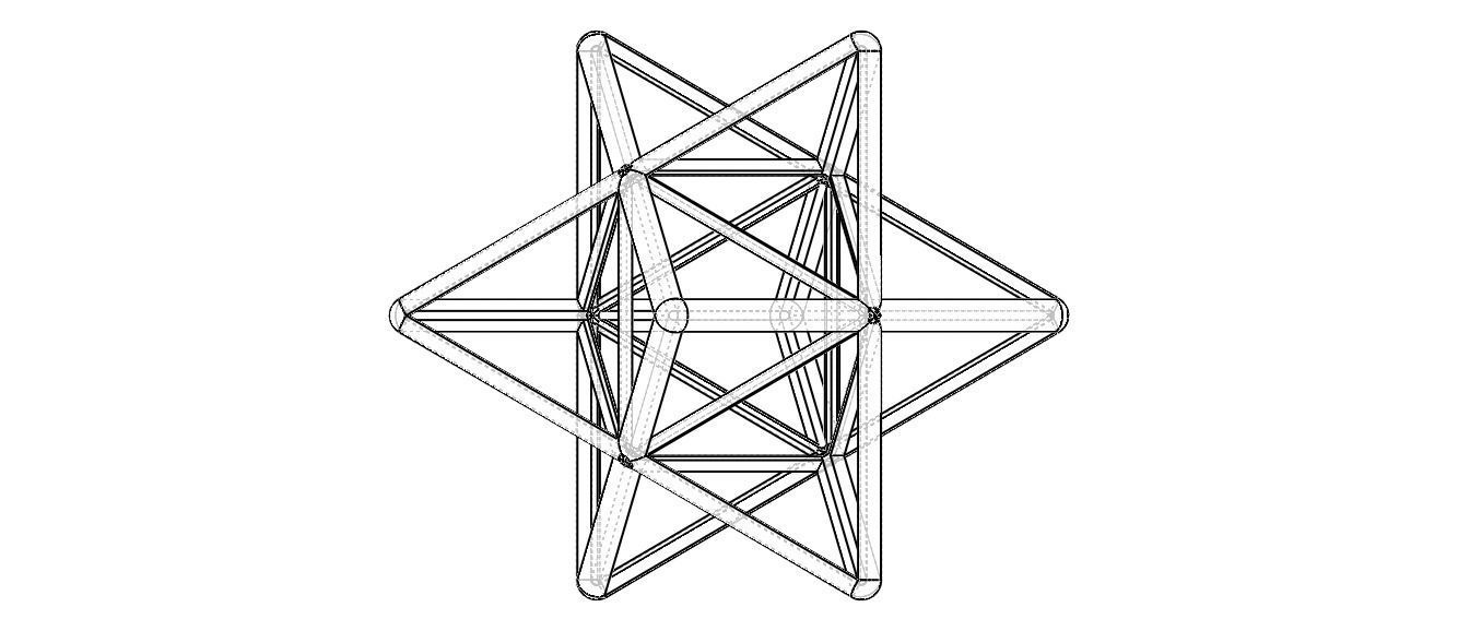 Wireframe Shape Stellated Octahedron 3D print model_31